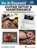 Guitar_setup___maintenance