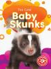 Baby_skunks