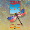 House_Of_Yes__Live_From_House_Of_Blues