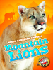 Mountain_Lions