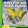 Goby_Fish_and_Pistol_Shrimp