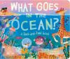 What_Goes_in_the_Ocean_