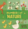 Numbers_in_nature