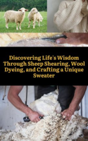 Discovering_Life_s_Wisdom_Through_Sheep_Shearing__Wool_Dyeing__and_Crafting_a_Unique_Sweater